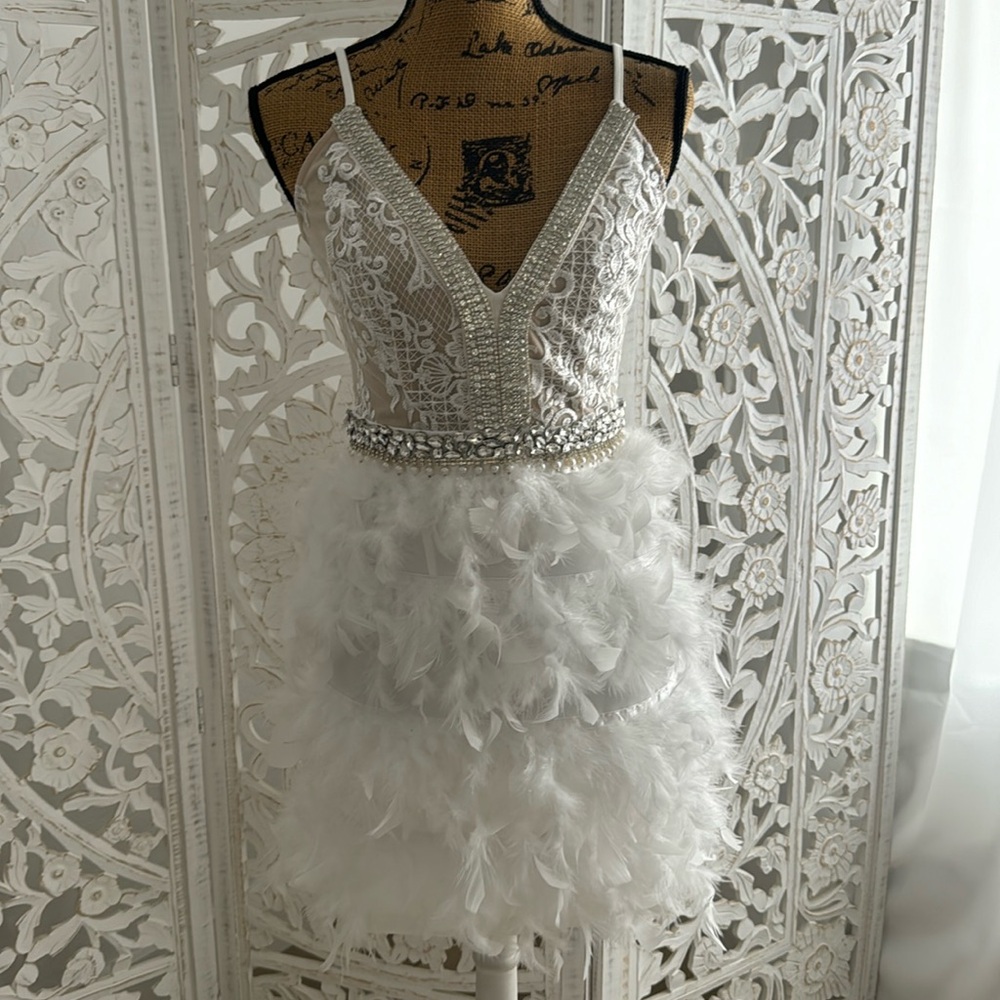 Gatsby Dress Brand New